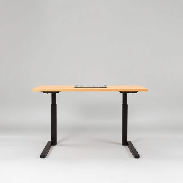 Nordwerk Lift Sit-Stand Desk